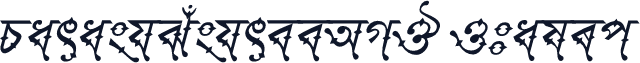 ParashSushreeAMJ Italic