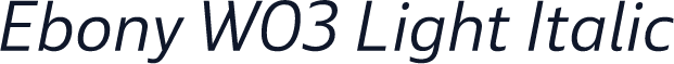 Ebony W03 Light Italic