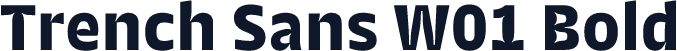 Trench Sans W01 Bold