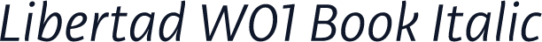 Libertad W01 Book Italic