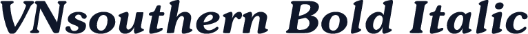 VNsouthern Bold Italic