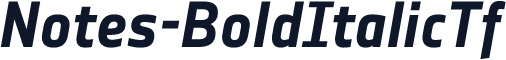 Notes-BoldItalicTf