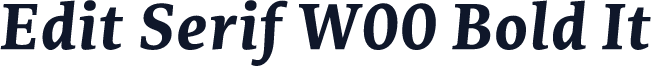Edit Serif W00 Bold It