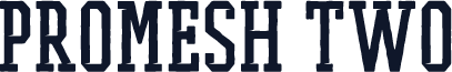 PROMESH Two