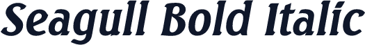 Seagull Bold Italic