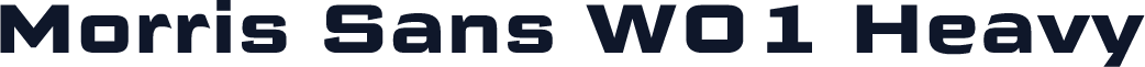 Morris Sans W01 Heavy
