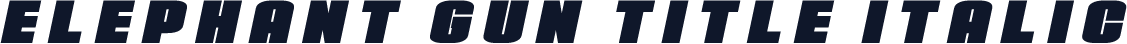 Elephant Gun Title Italic