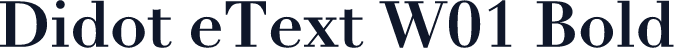 Didot eText W01 Bold