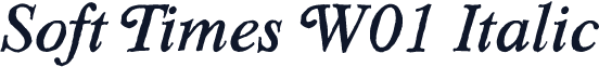 Soft Times W01 Italic