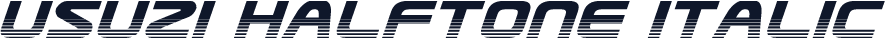 Usuzi Halftone Italic