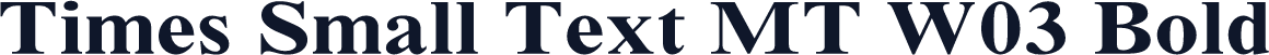 Times Small Text MT W03 Bold