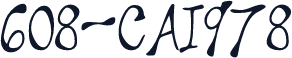608-CAI978