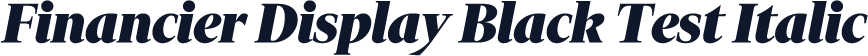 Financier Display Black Test Italic