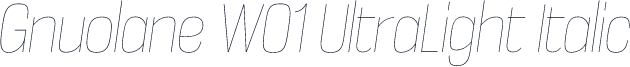 Gnuolane W01 UltraLight Italic
