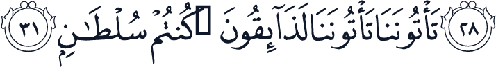 QCF_P447