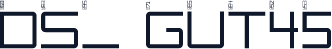 DS_ GUT45