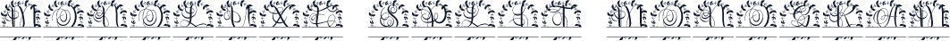 Monoluxe SPlit Monogram