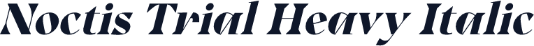Noctis Trial Heavy Italic