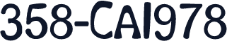 358-CAI978