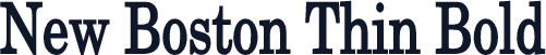 New Boston Thin Bold