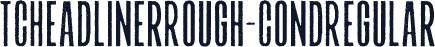 TCHeadlinerRough-CondRegular