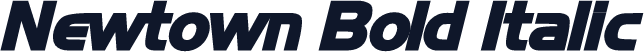 Newtown Bold Italic