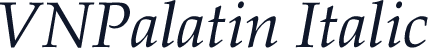 VNPalatin Italic