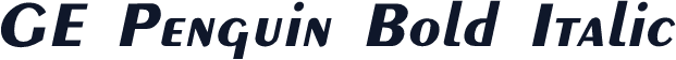 GE Penguin Bold Italic