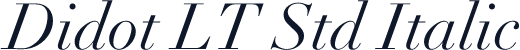 Didot LT Std Italic