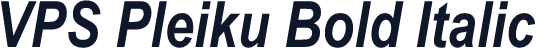 VPS Pleiku Bold Italic