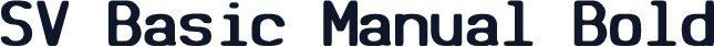 SV Basic Manual Bold