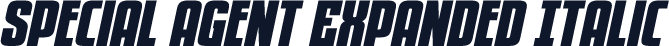 Special Agent Expanded Italic