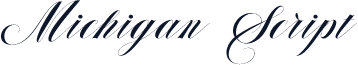 Michigan Script