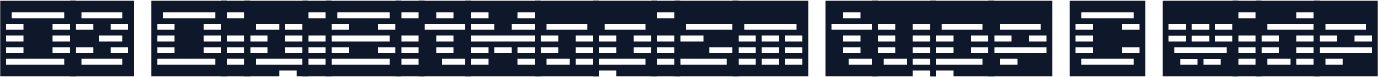 D3 DigiBitMapism type C wide