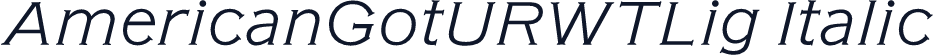 AmericanGotURWTLig Italic