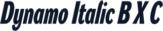 Dynamo Italic B X C