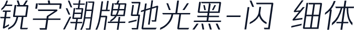 锐字潮牌驰光黑-闪 细体