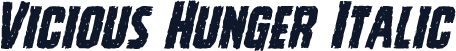 Vicious Hunger Italic