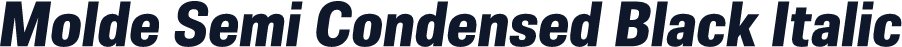 Molde Semi Condensed Black Italic
