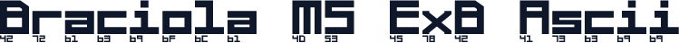 Braciola MS ExB Ascii