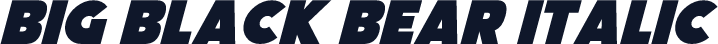 Big Black Bear Italic
