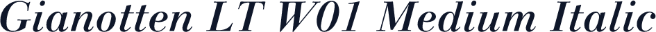 Gianotten LT W01 Medium Italic
