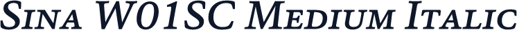 Sina W01SC Medium Italic