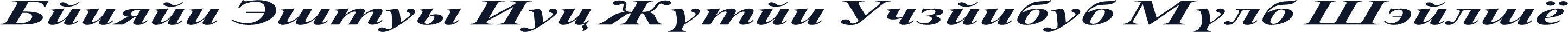 Danzan Times New Roman Expanded Bold Italic