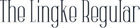 The Lingke Regular