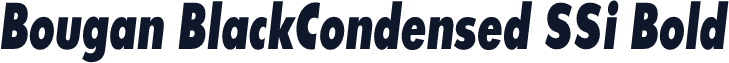Bougan BlackCondensed SSi Bold