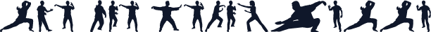 Tai-Chi Silhouette