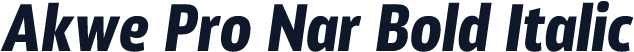 Akwe Pro Nar Bold Italic