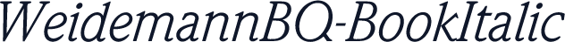 WeidemannBQ-BookItalic
