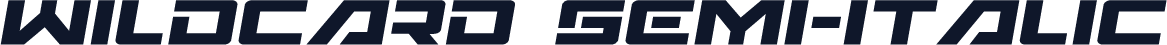 Wildcard Semi-Italic